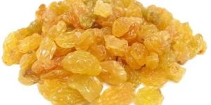 Golden Raisins