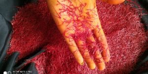 Kashmiri Saffron