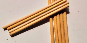 Bamboo Straws