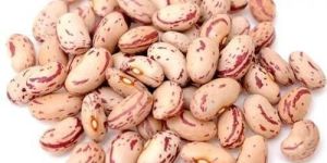 Chitra Rajma