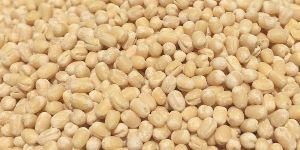 Whole White Urad Dal