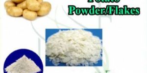 Dehydrated Potato Powder