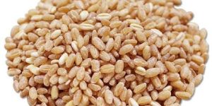 Wheat Seeds