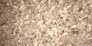Groundnut Husk