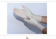 Latex Examination Gloves