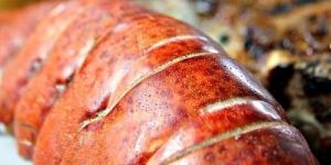 Lobster Tail