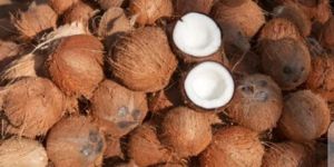 Dry Coconuts