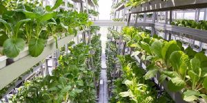 Vertical Farming Machine