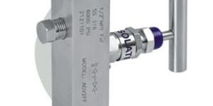 AGV 2 FF Gauge Vent Value