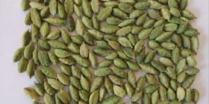 Green Cardamom