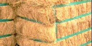 Coir Fiber