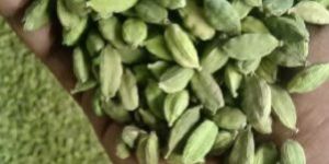 Green Cardamom