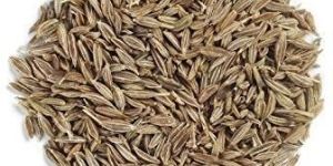 Cumin Seeds