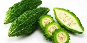 Fresh Bitter Gourd