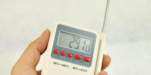 Multi Stem Thermometer