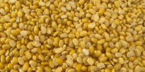 Yellow Lentils