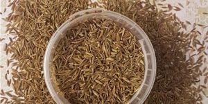 Cumin Seeds