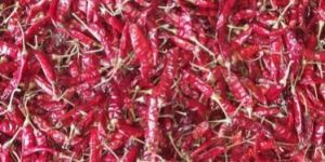Deluxe Guntur Dry Red Chilli