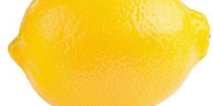 Fresh Lemon