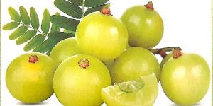 Fresh Amla