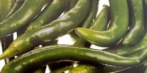 Fresh Green Chilli