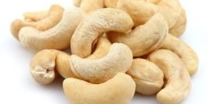 Cashew