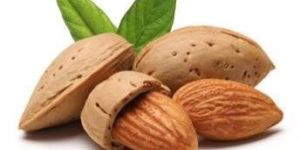Almond Nuts