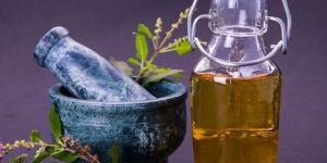 Tulsi Oil