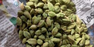 Green Cardamom
