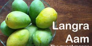 Langra Mango
