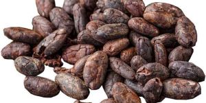 Cocoa Beans
