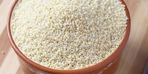 Barnyard Millet Seeds