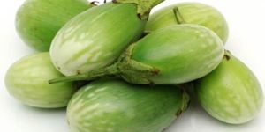 Fresh Green Brinjal