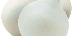 White Onion