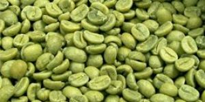 Green Coffee Beans