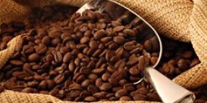 Roasted Coffee Beans