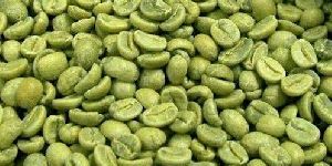Green Coffee Beans Extract