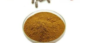 Ganoderma Powder