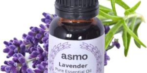 Lavender Oil