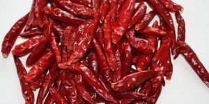 Dried Red Chilli