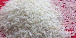 IR 64 Raw Non Basmati Rice