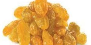 Golden Raisins