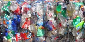 Washed Pet Bottle Scrap