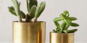 Brass Planter