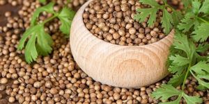 Coriander Seeds