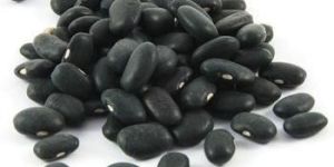 Black Kidney Beans