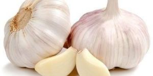 Fresh Garlic