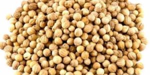 Coriander Seeds