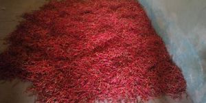 Dry Red Chilli