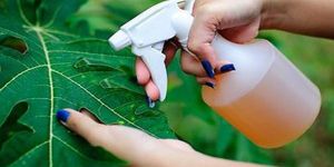 Bio Pesticide